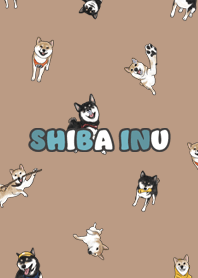shibainu3 / mocha
