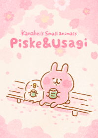 ピスケ&うさぎ　桜が満開！