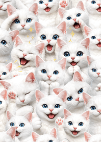 น่ารัก! แมวขาว