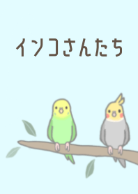 可愛的虎皮鸚鵡＆玄鳳鸚鵡