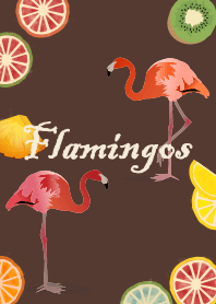 Flamingos + choc brown