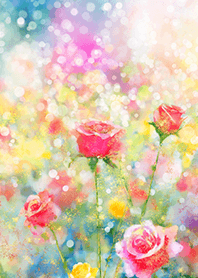 Beautiful rose flower(R3782)