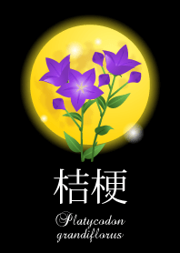 Platycodon grandiflorus!