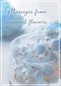 Seasonal Flower News 01_2