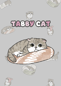 tabbycat10 - grey