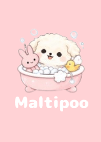 柔軟馬爾泰迪主題3 Pink 02