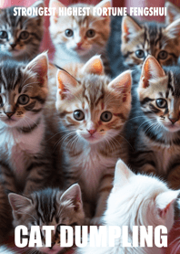 Cat dumpling 19