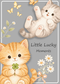 Little Moments of Happiness