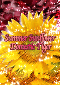 Summer love sunflower domestic Tiger