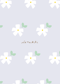 White flowers and leaves simple10 Japan