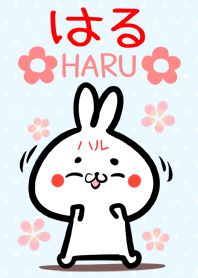 Harutyan rabbit Theme!