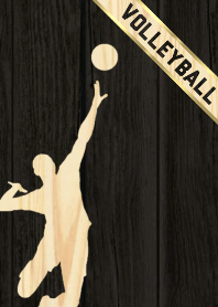 Volleyball Wood Style Ver.2