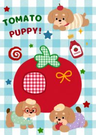 TOMATO PUPPY Blue
