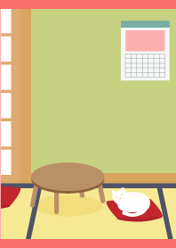 Cat in a room on red