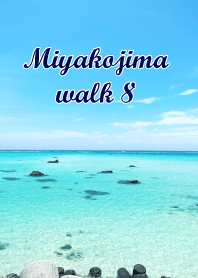 Miyakojima walk8