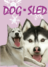 ＤＯＧ・ＳＬＥＤ ☆犬ぞり☆
