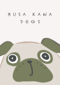ブサカワ犬