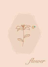 ดอกไม้ <ส้มจีน> แอปริคอทส้ม