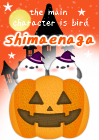 Halloween theme orange.