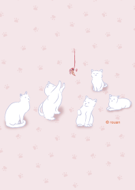 Cat's party (pink grey)