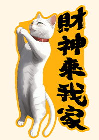 好運主題 萌萌參拜貓 財神來我家