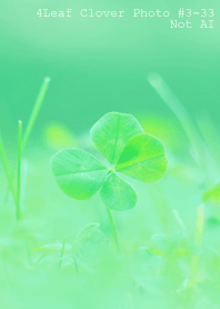 4leaf Clover Photo#3-33Not AI