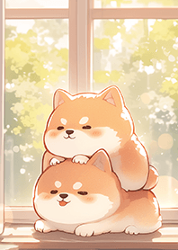 ⭐️丸い柴犬の赤ちゃん❤️