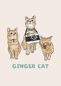 gingercat2 / cream