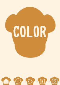 brown color  W119