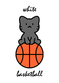 black cat sitting on a basketball whiteA