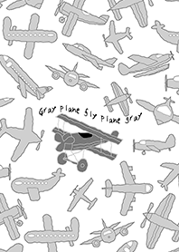 Gray plane fly plane gray (W)