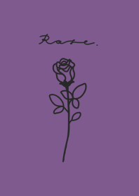 Rose /Purple.