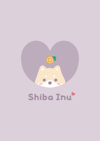 柴犬2 杏橙 [紫色的 粉色的]