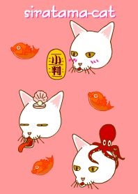 Shiratama-cat