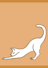 伸びる猫 茶色