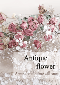 World of Antique dried flower.13