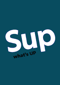 Sup THEME .206