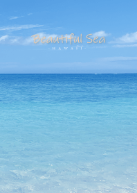 Beautiful Sea Hawaii 29