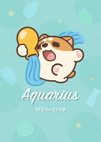 米犬日常 - 水瓶座