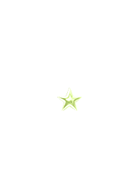Metalic Star - HS WH 14