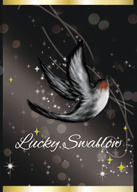Black & Yellow / Lucky swallows visit