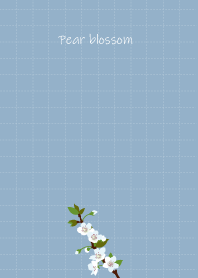 April birth flower,Pear blossom.