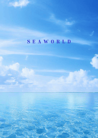 SEA WORLD -Clear Blue 17