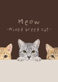 Meow-Mixed breed cat 03-DARK BROWN