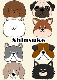 Shinsuke Scandinavian dog style