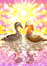 A happily married couple mandarin ducks