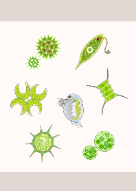 シンプル微生物