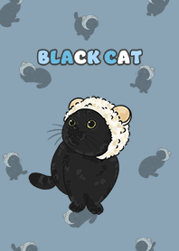 blackcat5 - pale blue