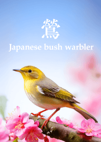 うぐいす vol.1