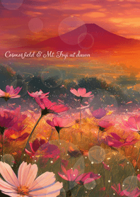 Cosmos field & Mt. Fuji at dawn